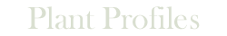 plant profiles